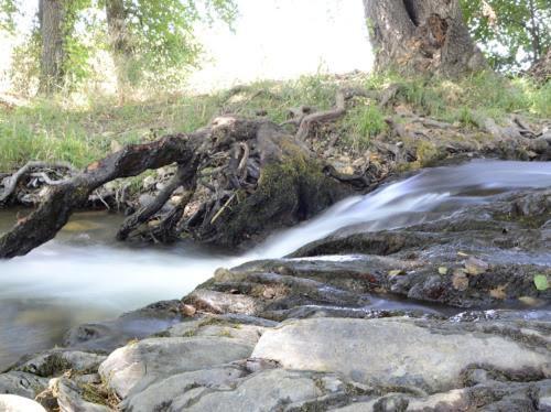 Alojamientos Rurales La Codosera Exteriör bild